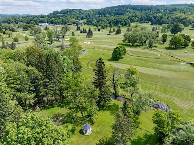 53 University Ave, Hamilton, NY 13346 - bird's eye view