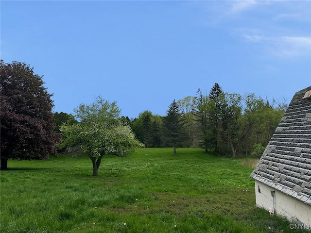830 High St, Victor, NY 14564 - photo 6