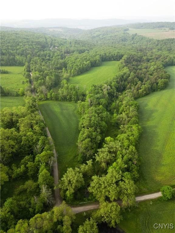 Searls Rd, Homer, NY 13045 - photo 4