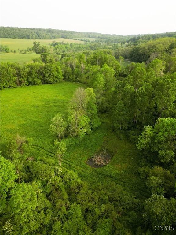 Searls Rd, Homer, NY 13045 - photo 12