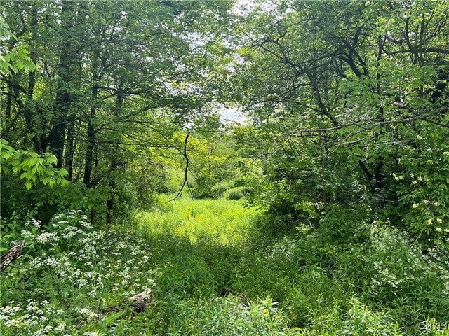 Searls Rd, Homer, NY 13045 - photo 7