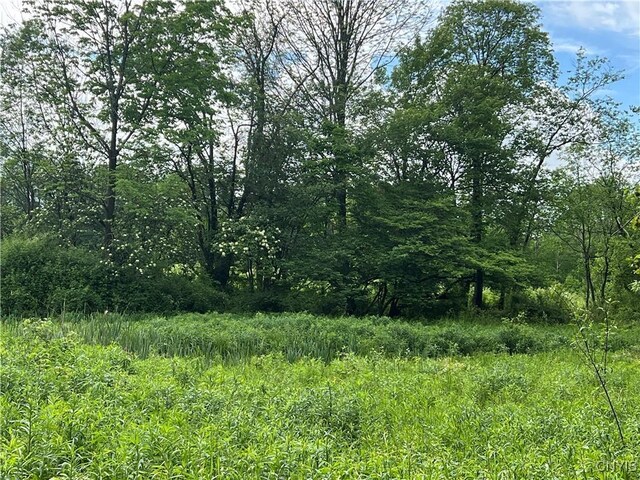Searls Rd, Homer, NY 13045 - photo 9