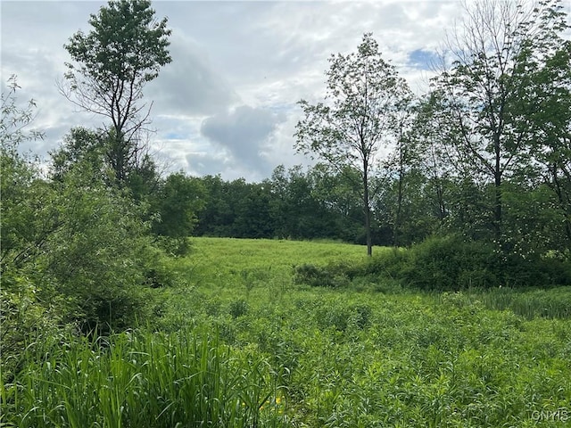 Searls Rd, Homer, NY 13045 - photo 1