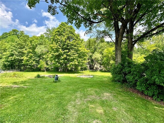 4 Ostrander St, Nanticoke, NY 13777 - photo 28