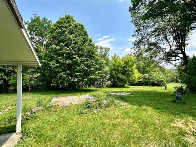 4 Ostrander St, Nanticoke, NY 13777 - photo 30