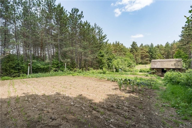 6372 George Hill Rd, Watson, NY 13343 - view of tree filled area