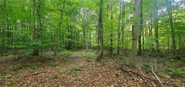 502 County Route 7, Hannibal, NY 13074