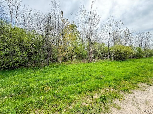 0 Klocks Corners Rd, Scriba, NY 13126 - photo 17