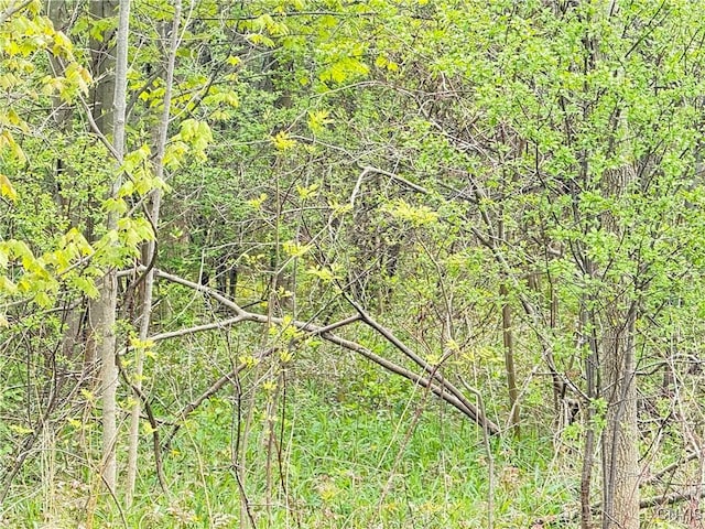 0 Klocks Corners Rd, Scriba, NY 13126 - photo 18