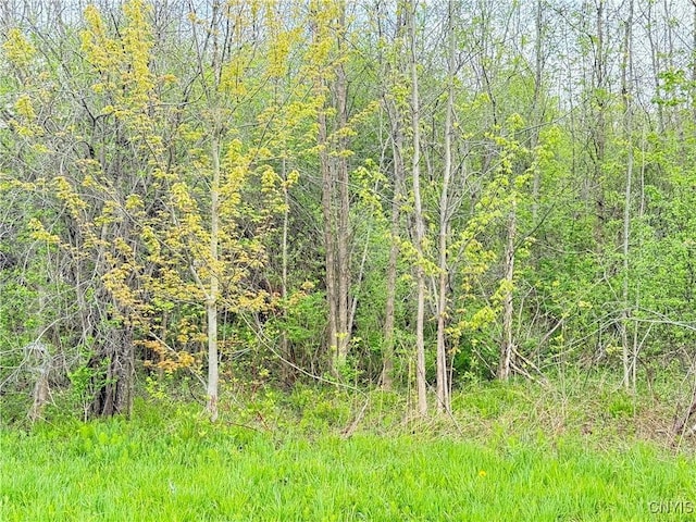 0 Klocks Corners Rd, Scriba, NY 13126 - photo 7