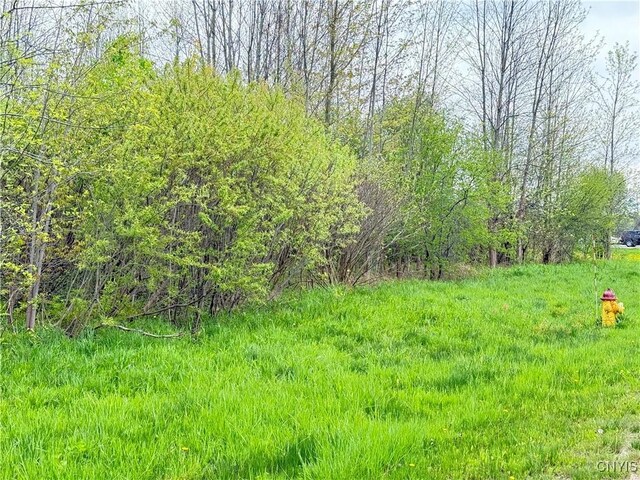 0 Klocks Corners Rd, Scriba, NY 13126 - photo 8