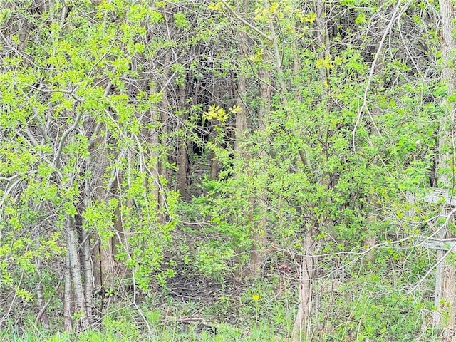 0 Klocks Corners Rd, Scriba, NY 13126 - photo 9