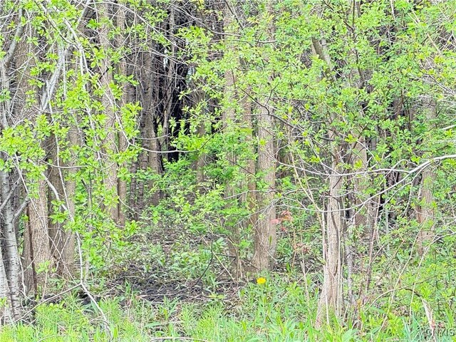 0 Klocks Corners Rd, Scriba, NY 13126 - photo 11