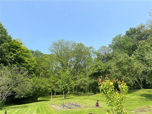 3442 County Route 57, Volney, NY 13126 - photo 22