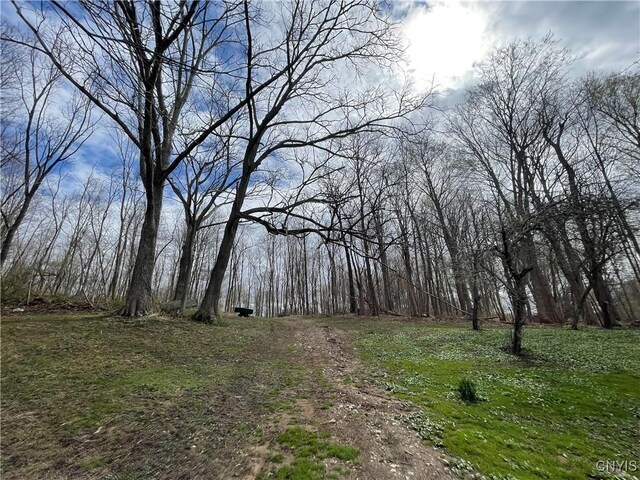 3442 County Route 57, Volney, NY 13126 - photo 15
