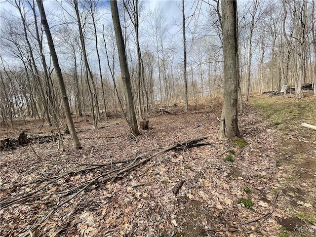 3442 County Route 57, Volney, NY 13126 - photo 16
