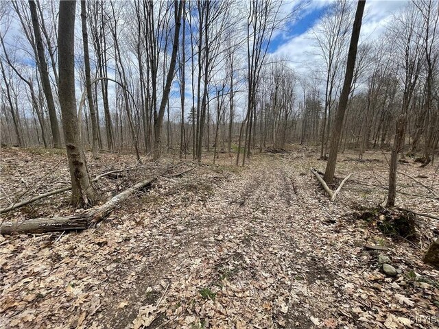 3442 County Route 57, Volney, NY 13126 - photo 18