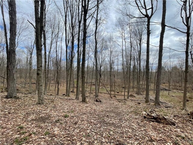 3442 County Route 57, Volney, NY 13126 - photo 19