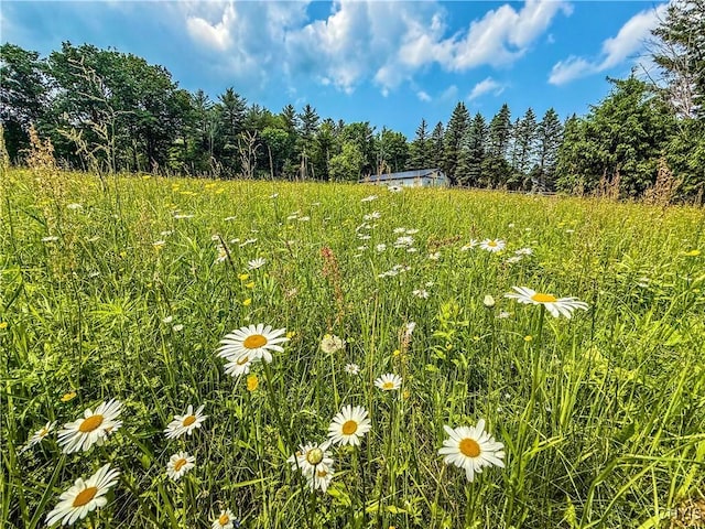 Syossett Dr, Cazenovia, NY 13035 - photo 3