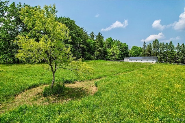 Syossett Dr, Cazenovia, NY 13035 - photo 2