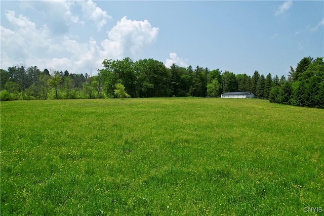 Syossett Dr, Cazenovia, NY 13035 - photo 20