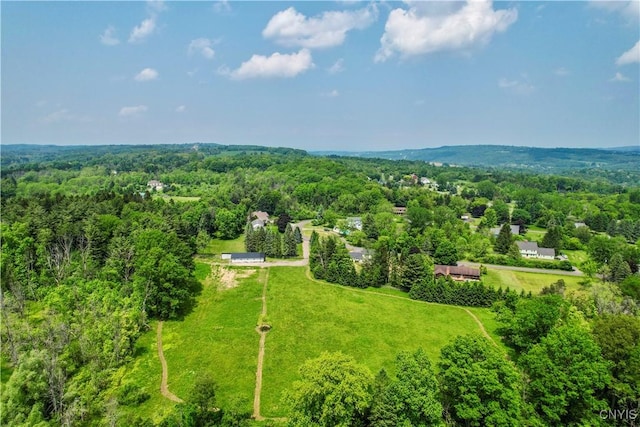 Syossett Dr, Cazenovia, NY 13035 - photo 24