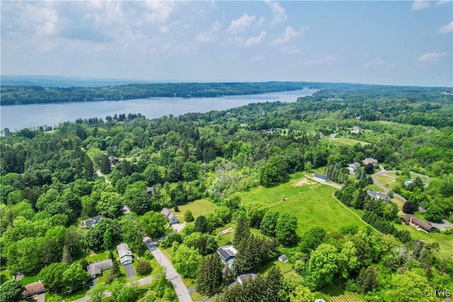 Syossett Dr, Cazenovia, NY 13035 - photo 4