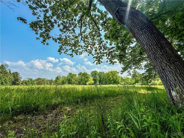Syossett Dr, Cazenovia, NY 13035 - photo 21