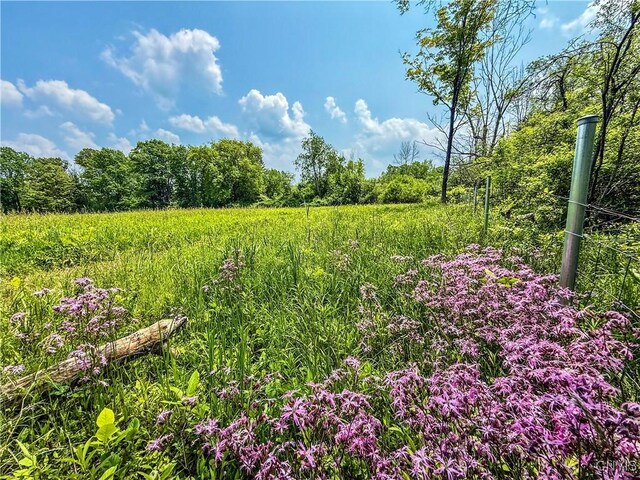 Syossett Dr, Cazenovia, NY 13035 - photo 22