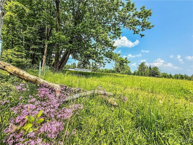 Syossett Dr, Cazenovia, NY 13035 - photo 25