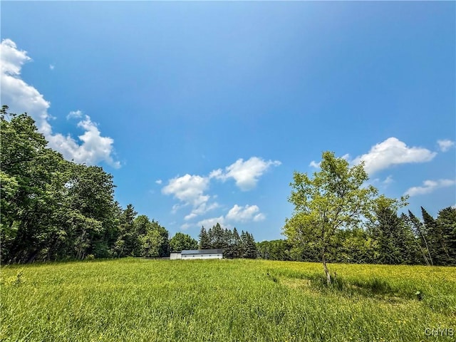 Syossett Dr, Cazenovia, NY 13035 - photo 23