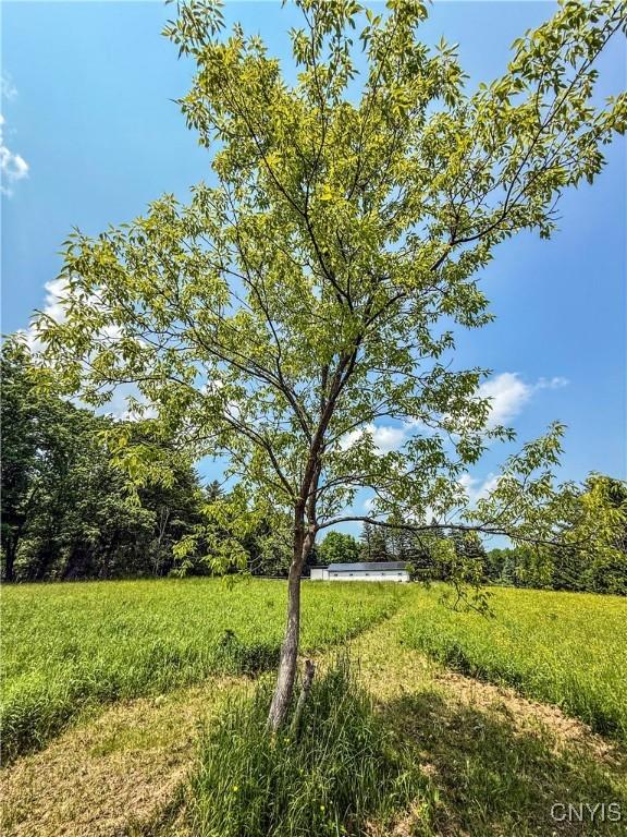 Syossett Dr, Cazenovia, NY 13035 - photo 26