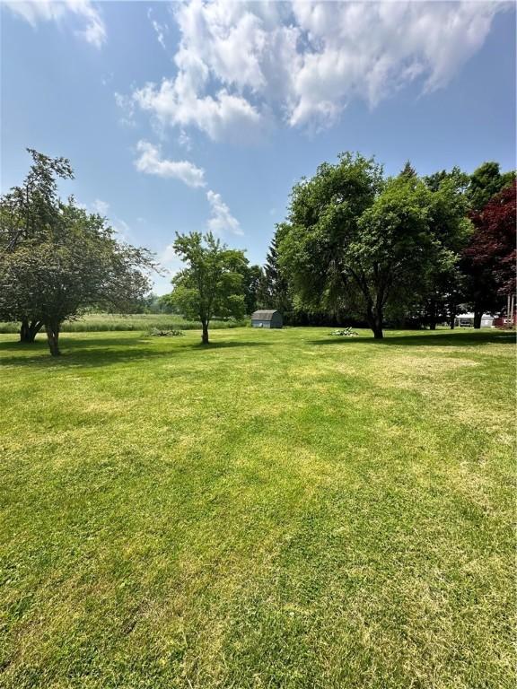 6956 E Washington St, Bath, NY 14810 - view of grassy yard