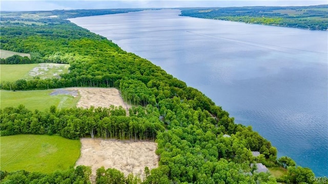 4500 W Lake Rd, Niles, NY 13152 - aerial view of a large body of water and a heavily wooded area