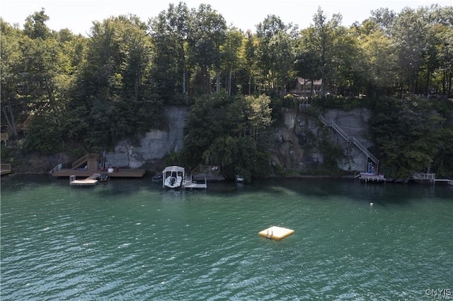 4500 W Lake Rd, Niles, NY 13152 - water view with a floating dock