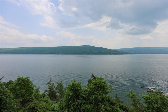 135 Cliffside Dr, South Bristol, NY 14424 - water view