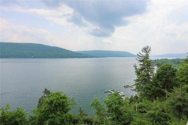 135 Cliffside Dr, South Bristol, NY 14424 - water view featuring mountains