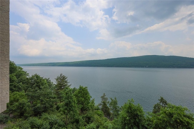 135 Cliffside Dr, South Bristol, NY 14424 - water view