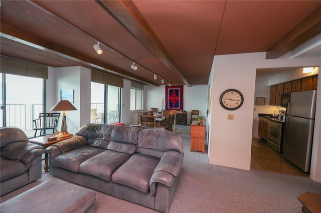 135 Cliffside Dr, South Bristol, NY 14424 - living area featuring beamed ceiling, light carpet, and track lighting