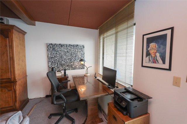 135 Cliffside Dr, South Bristol, NY 14424 - view of carpeted office