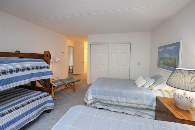 135 Cliffside Dr, South Bristol, NY 14424 - bedroom with carpet flooring and a closet