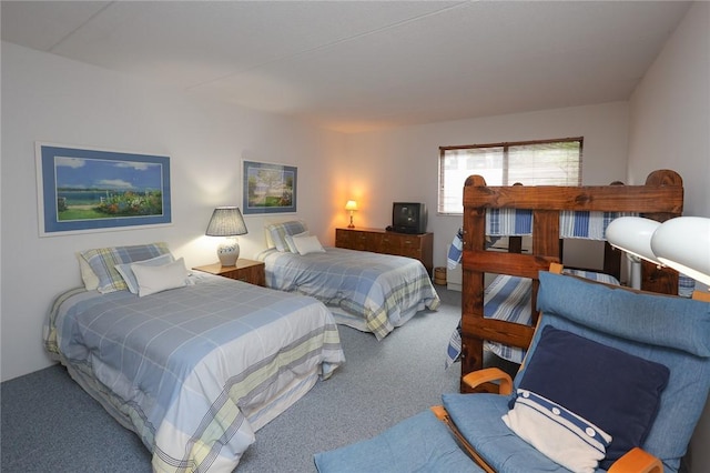 135 Cliffside Dr, South Bristol, NY 14424 - view of carpeted bedroom