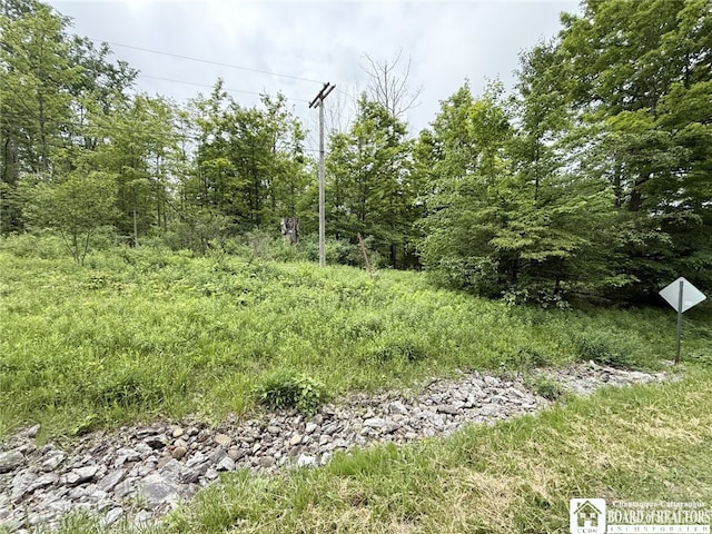 0 Luce Rd, Ellery, NY 14712