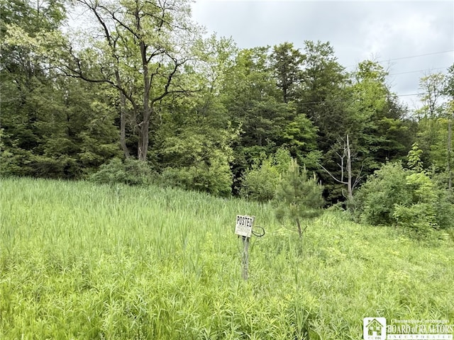 0 Luce Rd, Ellery, NY 14712