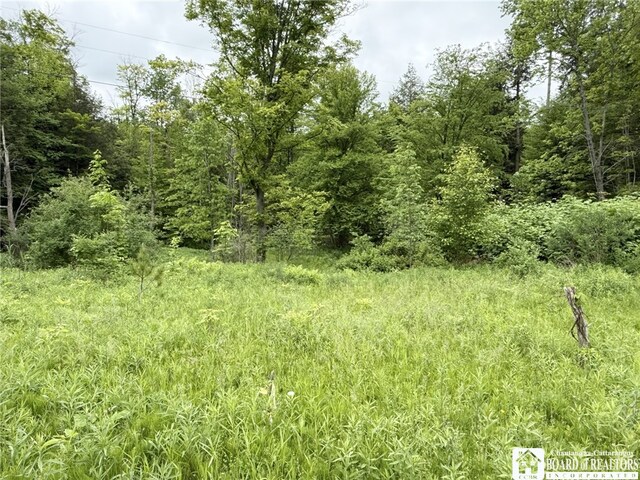 0 Luce Rd, Ellery, NY 14712