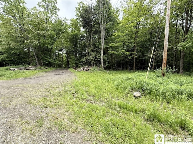 0 Luce Rd, Ellery, NY 14712