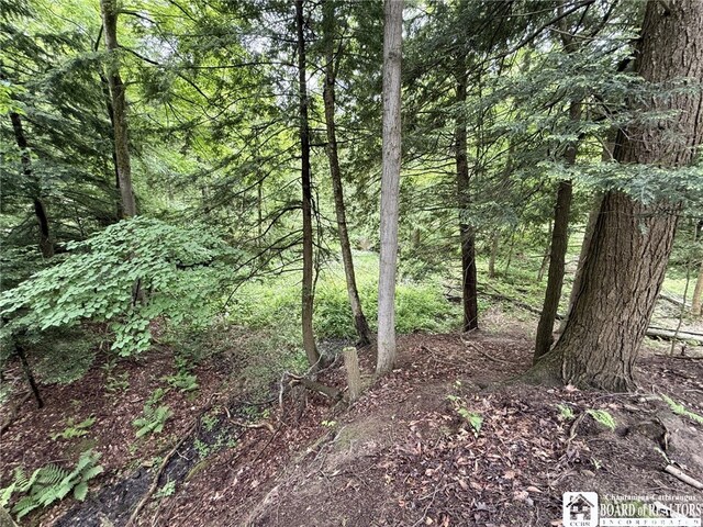 0 Luce Rd, Ellery, NY 14712