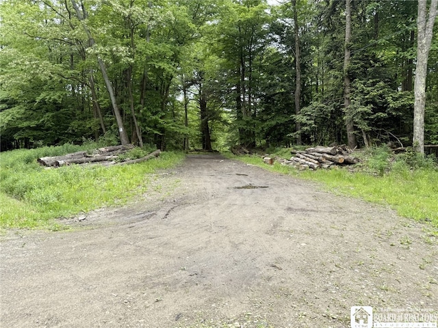 0 Luce Rd, Ellery, NY 14712