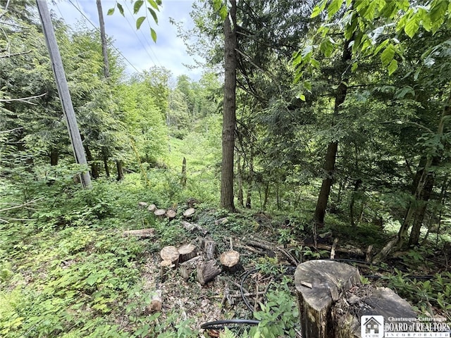0 Luce Rd, Ellery, NY 14712