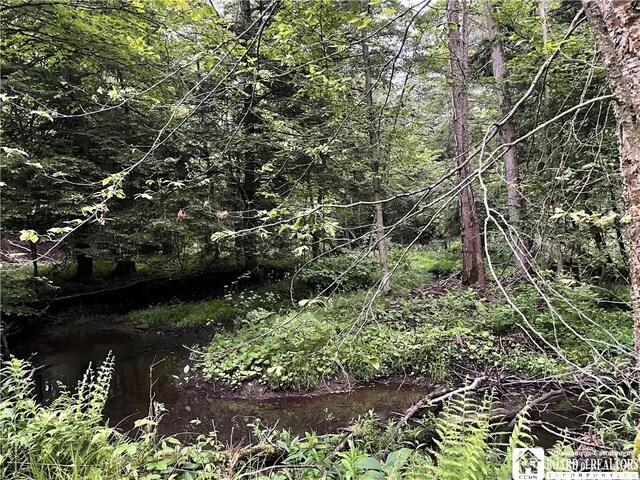 0 Luce Rd, Ellery, NY 14712